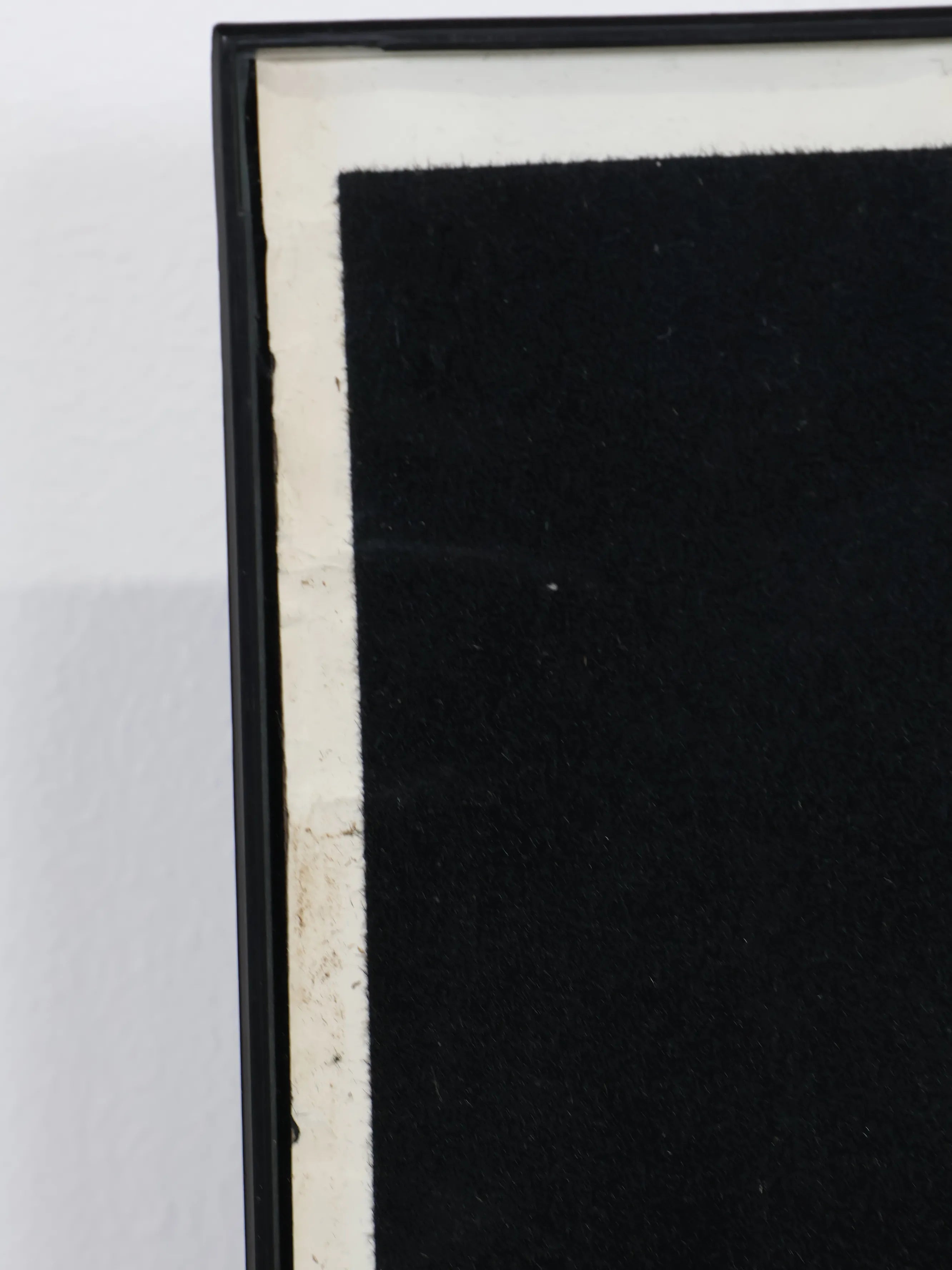 ヴィンテージ ホース ブラックライト ポスター | Collect Antique